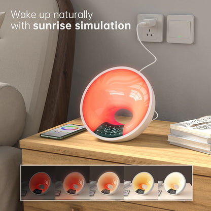 Hub Lamp