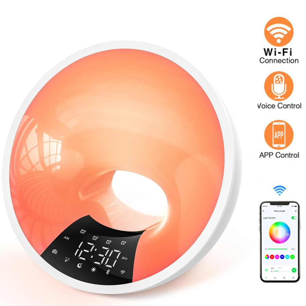 Hub Lamp