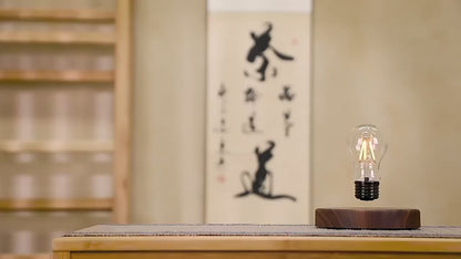Levitation Lamp